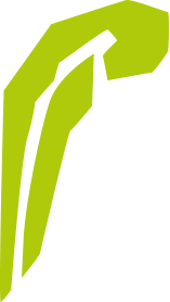 grafisches Element Waldorfelement_Kindergarten